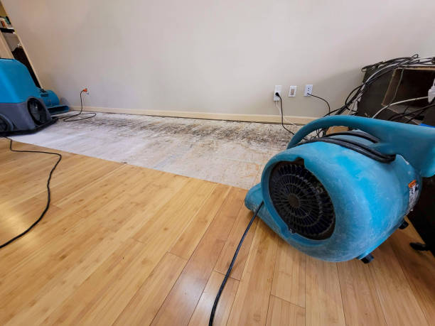 Professional Sewage Cleanup technician working in Jenera, OH
